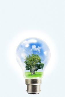 Bulb With Natural Inside Stock Photography Bulb With Natural Inside Stock Photography