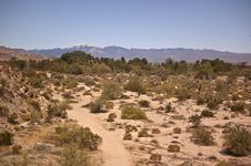 Mojave Desert Royalty Free Stock Image Mojave Desert Royalty Free Stock Image