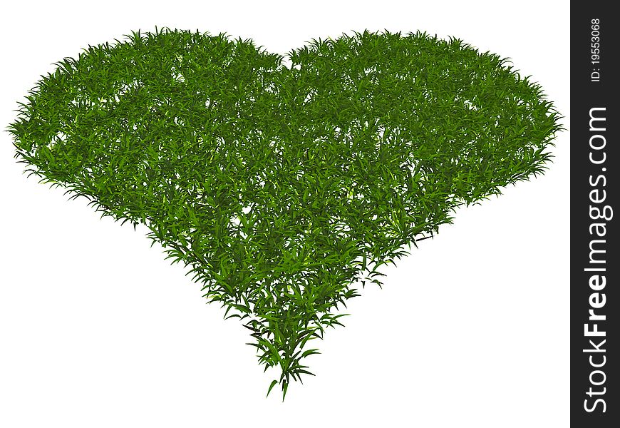 Heart of grass on white background