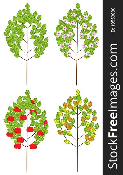 The color illustration. Set of trees. The color illustration. Set of trees