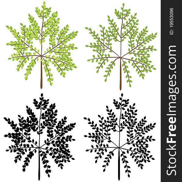 The color and black illustration of trees