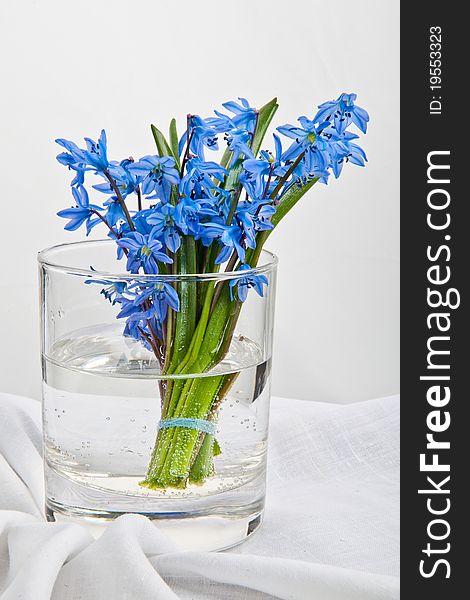 Brightly blue flowers in a glass on a white fabric. Brightly blue flowers in a glass on a white fabric