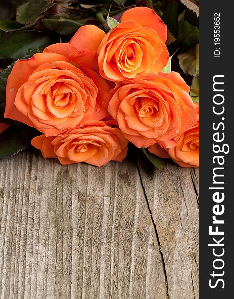 Bunch of orange roses on old wooden table as background