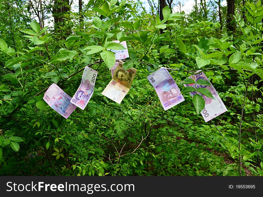 Ukrainian money grows on trees with leaves