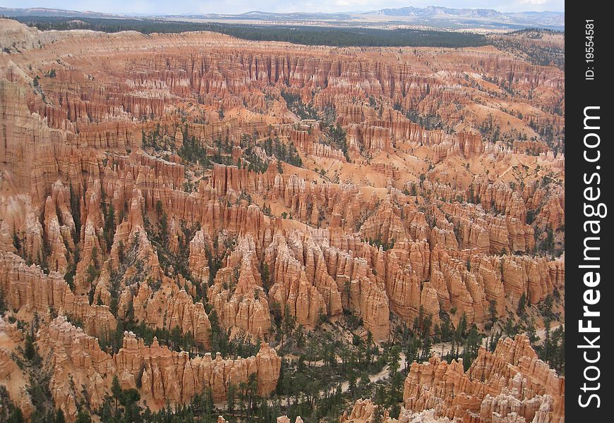 A scene from the majestic Bryce Canyon in Utah, USA.