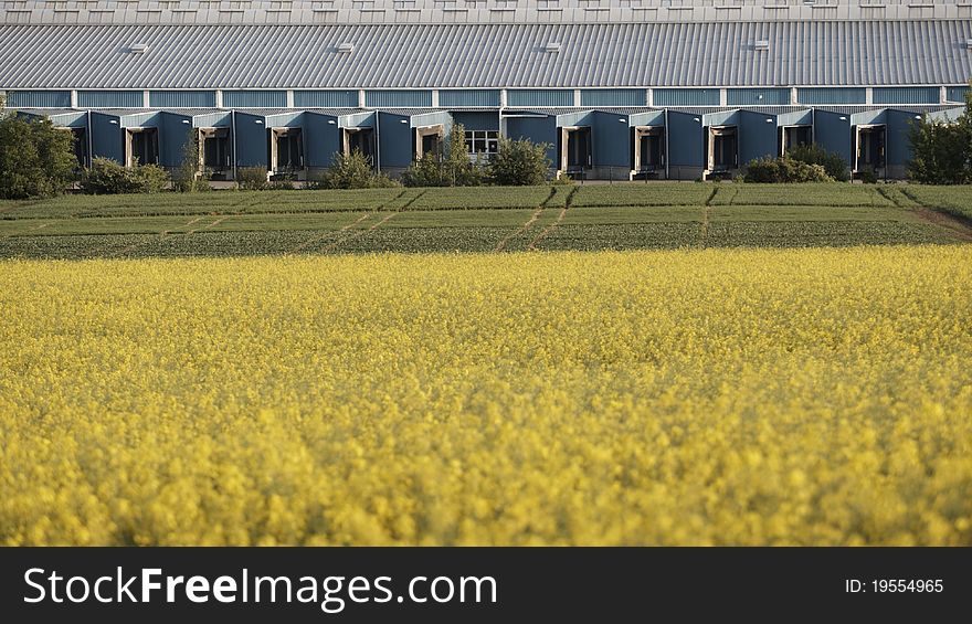 Loading docks of large warehouse in beautiful nature. Loading docks of large warehouse in beautiful nature.