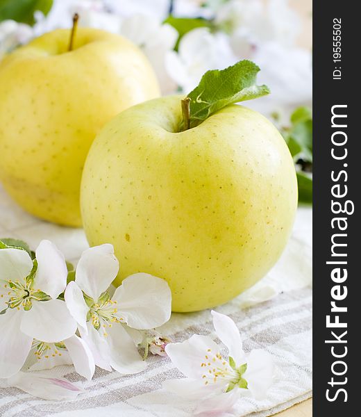 Fresh ripe apple with apple flower on background. Shallow depth, selective focus