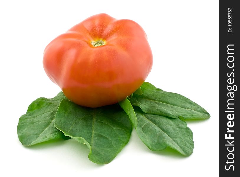 Tomato and sorrel isolated on white background