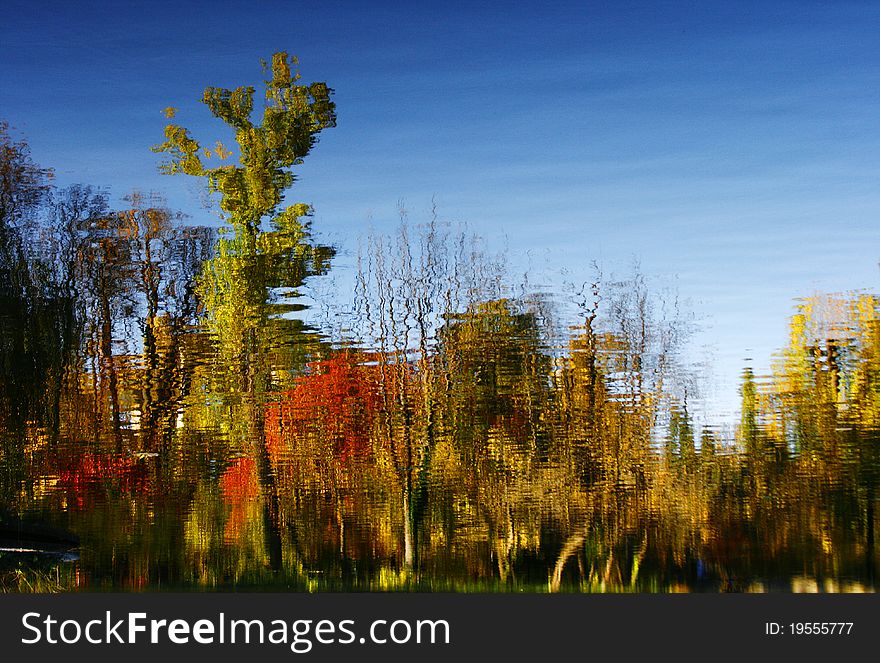 Red Autumn Trees Reflecting In Water