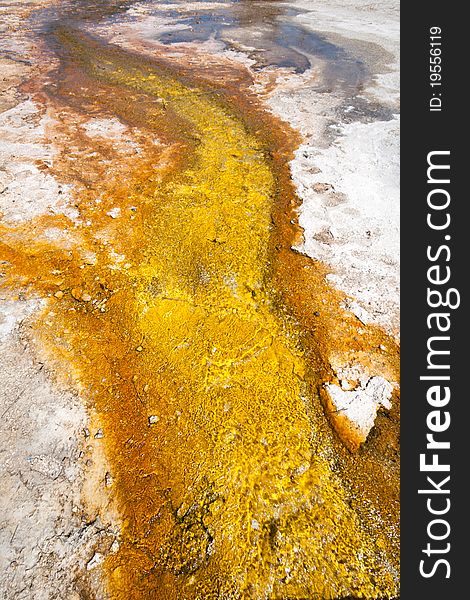 Thermal Stream at the Norris Geyser Basin, Yellowstone National Park. Thermal Stream at the Norris Geyser Basin, Yellowstone National Park