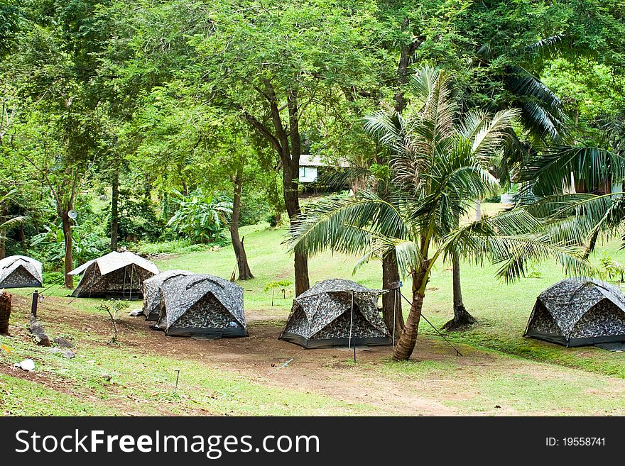 A camp in the jungle