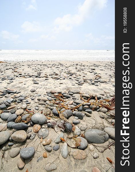 A beach in southern California filled with seaweed, shells, and pebbles. A beach in southern California filled with seaweed, shells, and pebbles