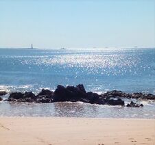 Ocean  Panorama In Summer. Royalty Free Stock Photography