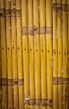 Bamboo Fence Stock Photos Bamboo Fence Stock Photos