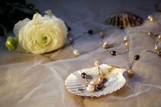 Pearls In The Cockle-shell Stock Photos