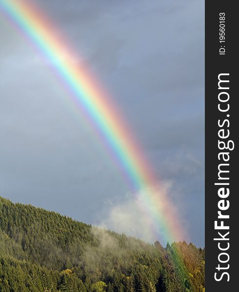 Vertical format rainbow from passing rainstorm above fir trees forest. Photographed in western Oregon near Cottage Grove. Vertical format rainbow from passing rainstorm above fir trees forest. Photographed in western Oregon near Cottage Grove.