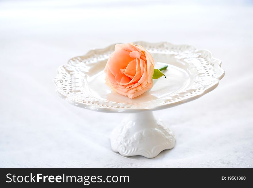 Rose On Plate