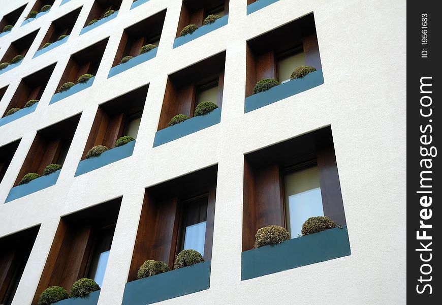 Modern facade detail with wooden blinds and green vegetation