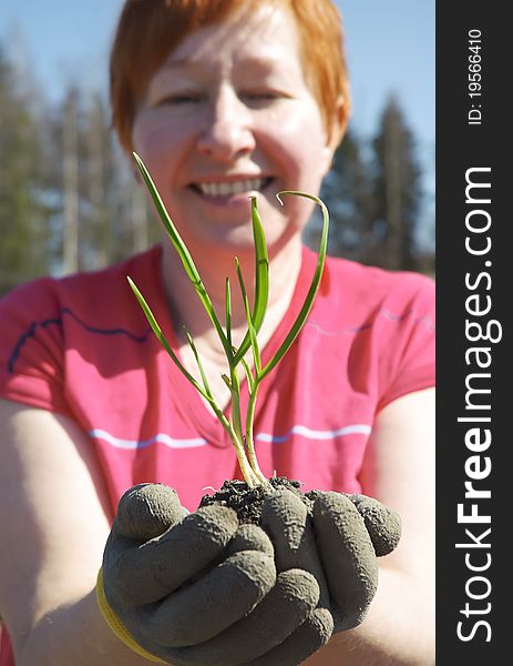Smiling mature woman holding seedling on her hands. Smiling mature woman holding seedling on her hands