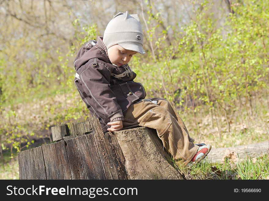 The little boy in a jacket and velveteen trousers sits on a stub of the cut down tree