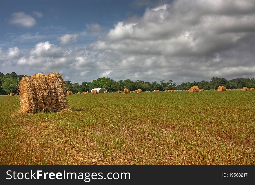 Hay Field with Blue Sky and Dark Clouds