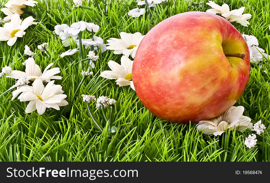 Apple On Grass