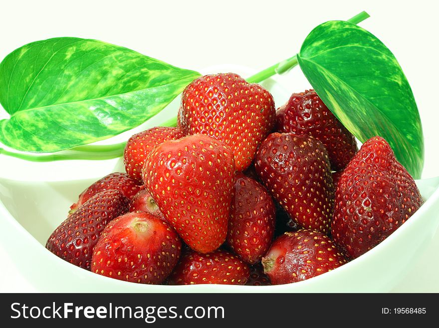 Strawberries in a china plate with a green plant on a white background. Strawberries in a china plate with a green plant on a white background