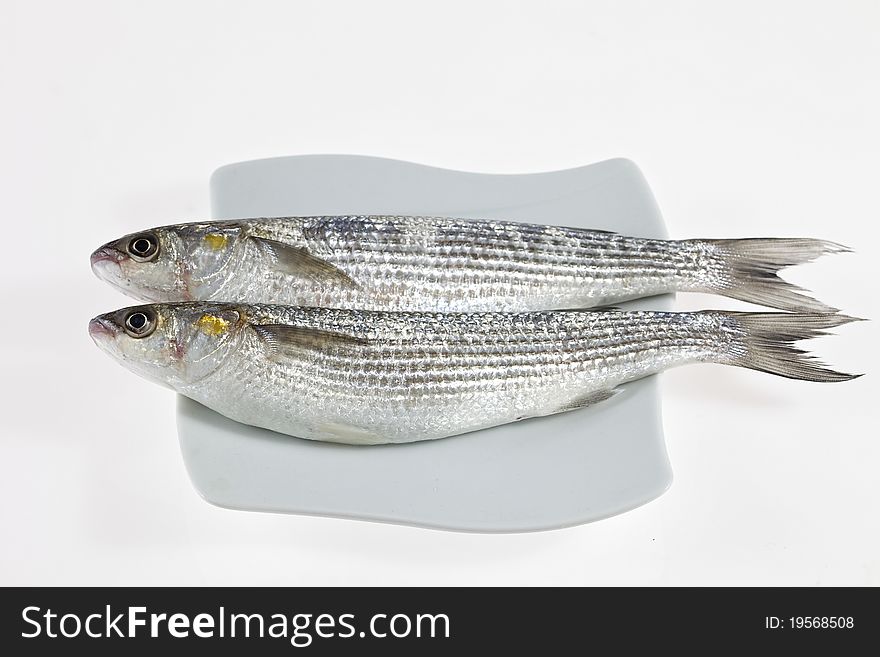 Two Golden grey mullet isolated on white background on white plate. Two Golden grey mullet isolated on white background on white plate