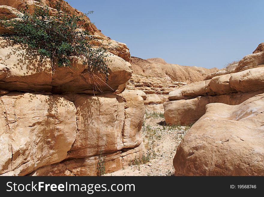 Narrow canyon of low orange rocks in desert. Narrow canyon of low orange rocks in desert