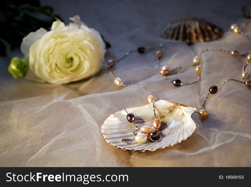 Pearls in the cockle-shell with flower