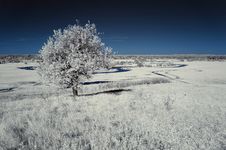 Landscape In The Infrared Royalty Free Stock Image Landscape In The Infrared Royalty Free Stock Image