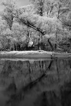 Landscape In The Infrared Stock Photo Landscape In The Infrared Stock Photo