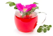 Wild Rose Flower And Tea Stock Image Wild Rose Flower And Tea Stock Image