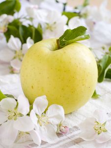 Apple Royalty Free Stock Images Apple Royalty Free Stock Images