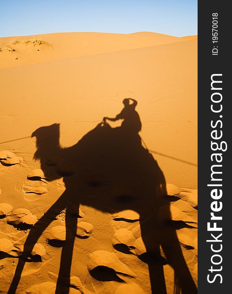 Camel shadow on the Sahara desert