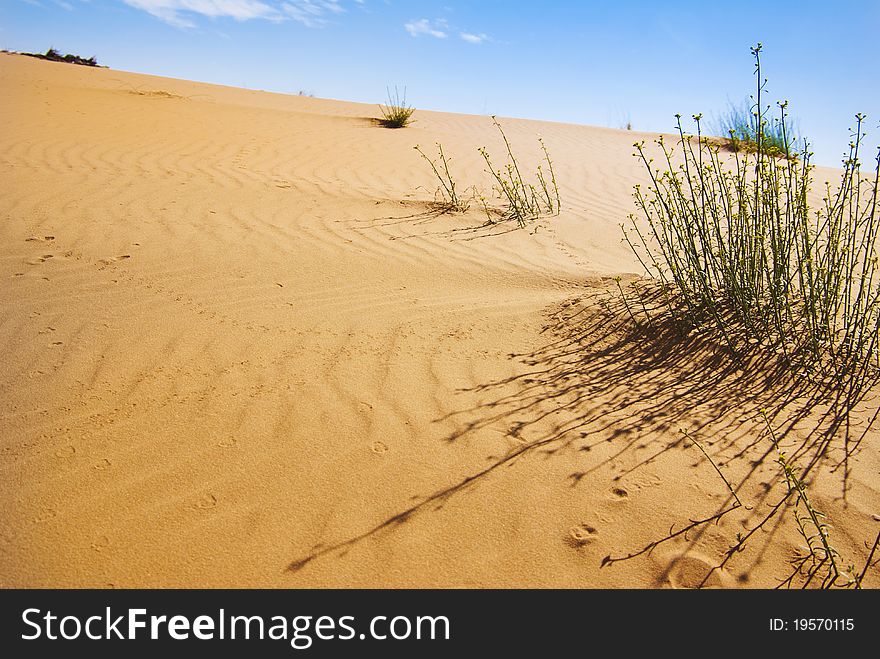 Dunes os Sahara desert and blue sky. Dunes os Sahara desert and blue sky