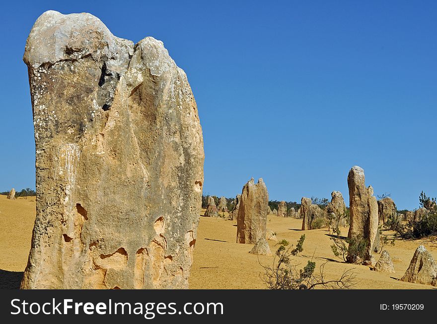 The pinnacles rise out of sand, some reaching a height of five meters. They are ancient limestone formations that formed 25,000-30,000 years ago. Coastal winds blow the sand around them periodically covering and uncovering them.