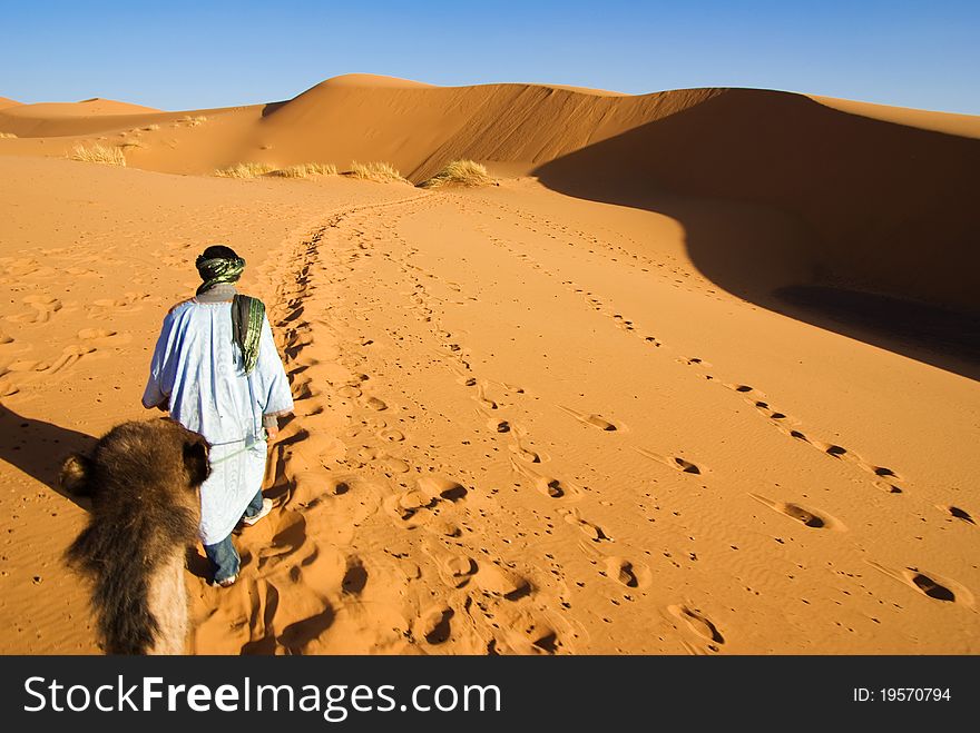 Dunes os Sahara desert and camel ride. Dunes os Sahara desert and camel ride