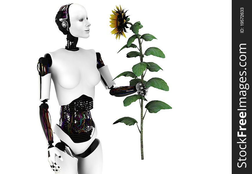 A robot woman holding a sunflower. White background.