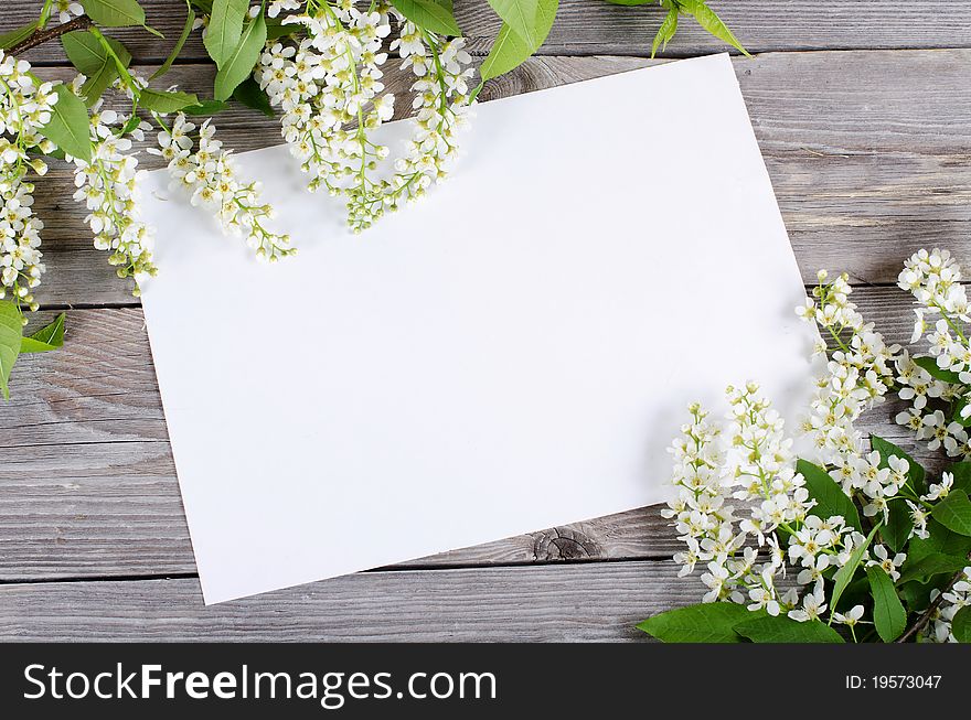 Bird Cherry Branch On A Wooden Surface