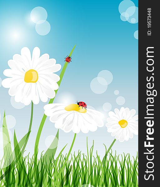 Summer Banners With Daisy And Ladybugs