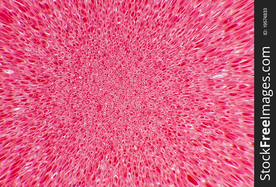 Pink sponge texture close up blast out
