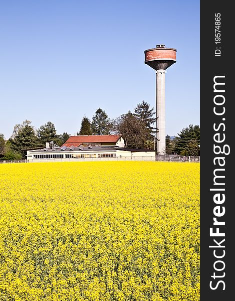 Water tower in a field of yellow flowers during spring season. Water tower in a field of yellow flowers during spring season