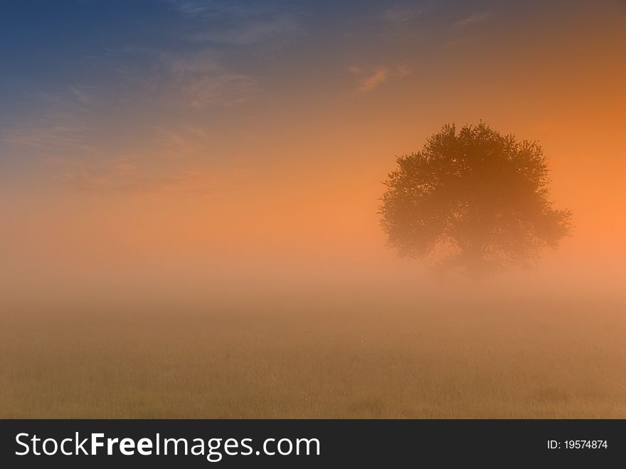 Spring sunrise above fields with the fog. Spring sunrise above fields with the fog