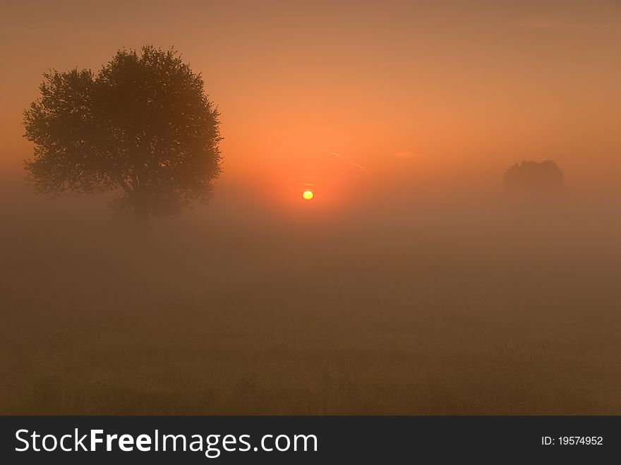 Spring sunrise above fields with the fog. Spring sunrise above fields with the fog