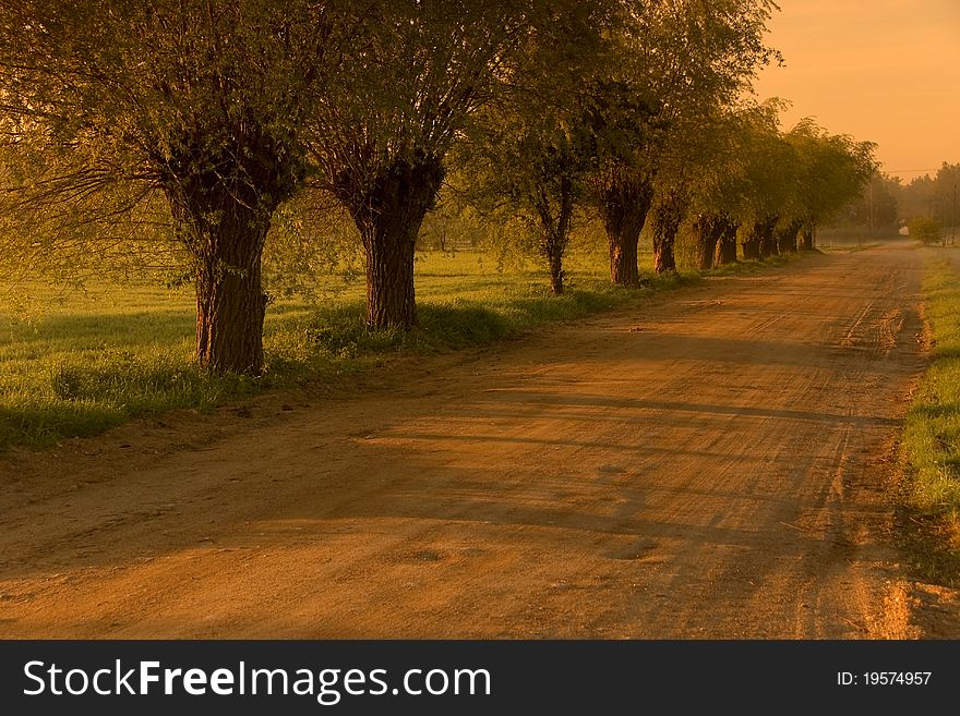 Fields In The Morning