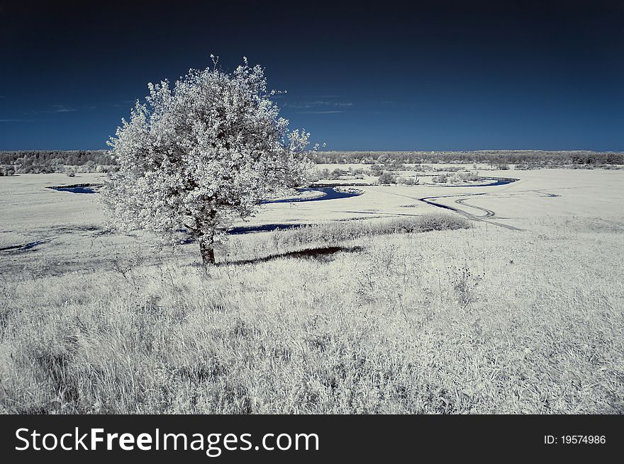 Landscape In The Infrared