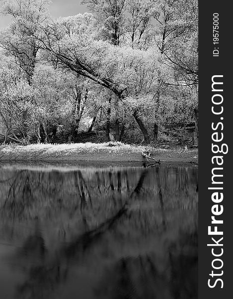 Landscape on the river in the infrared. Landscape on the river in the infrared