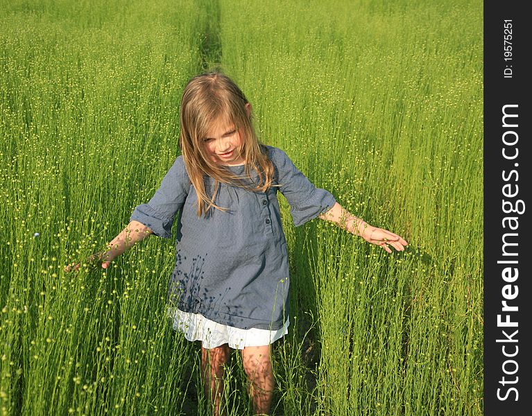 Young girl walking on field of flax. Young girl walking on field of flax