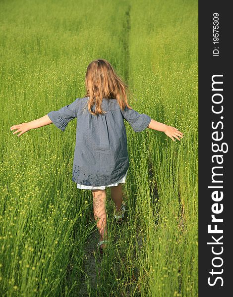 Young girl walking on field of flax. Young girl walking on field of flax